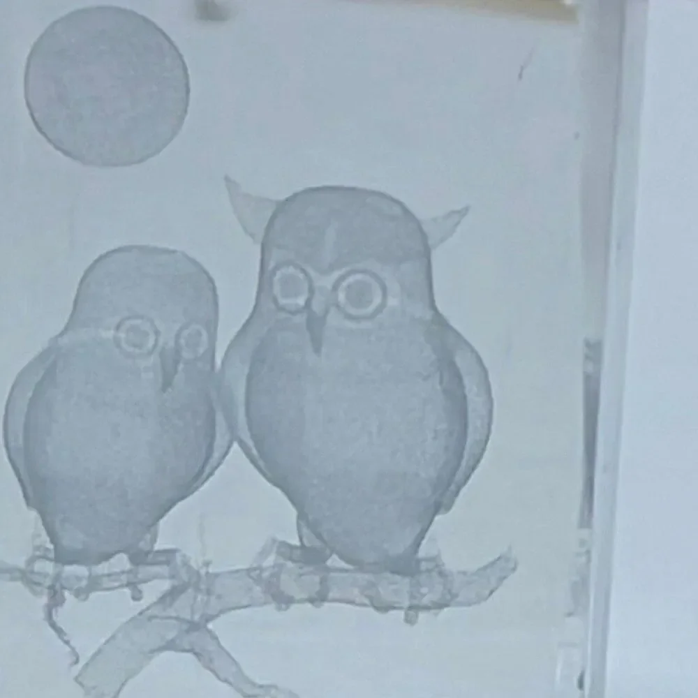 Decorative 3D laser-etched two owls on a branch moon crystal cube paperweight.
